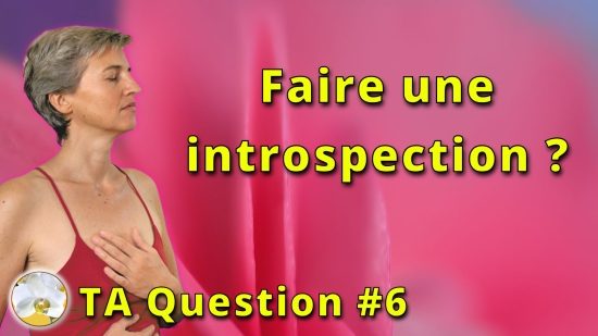 Faire-une-introspection