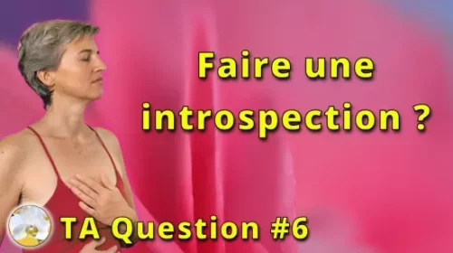 « Faire une introspection », qu’est-ce que cela veut dire ?