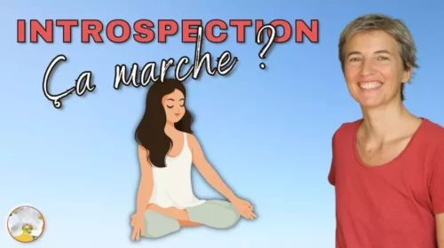 L’introspection pourquoi c’est si efficace ?